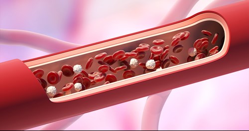 Cellular Life Solutions Community